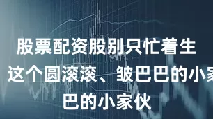 股票配资股别只忙着生气！这个圆滚滚、皱巴巴的小家伙