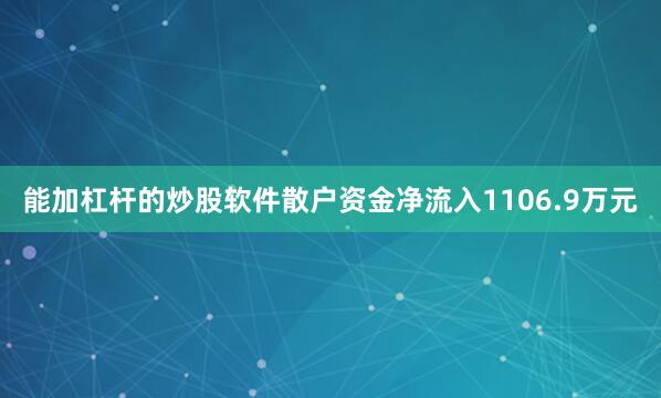 能加杠杆的炒股软件散户资金净流入1106.9万元