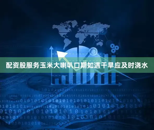 配资股服务玉米大喇叭口期如遇干旱应及时浇水