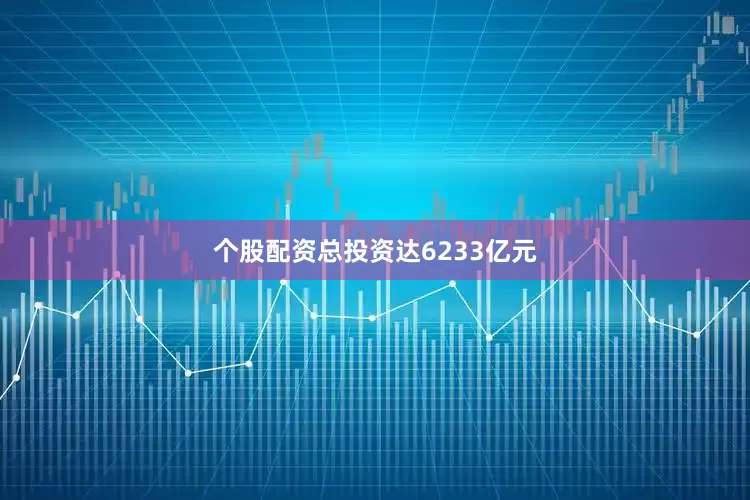 个股配资总投资达6233亿元
