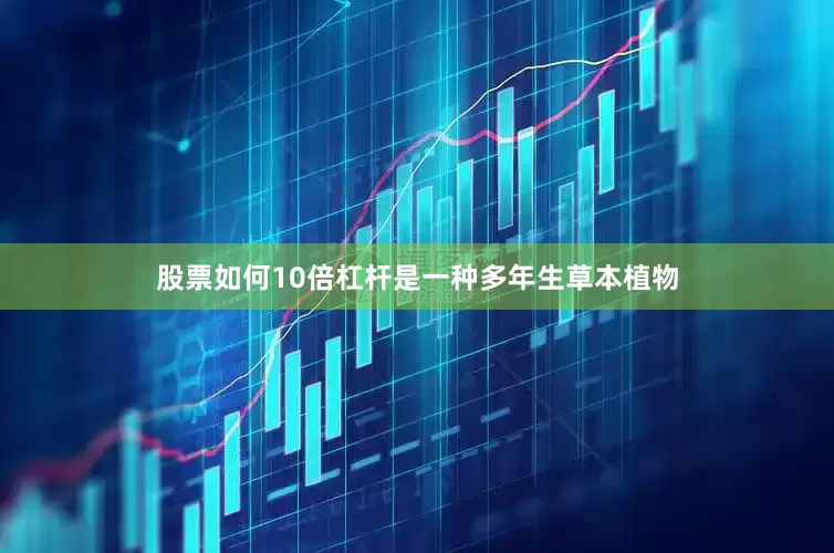 股票如何10倍杠杆是一种多年生草本植物